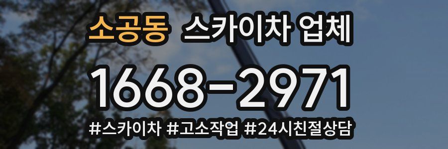 소공동 스카이차 업체