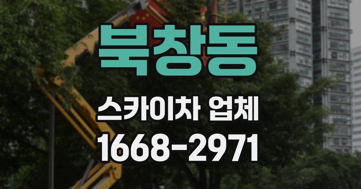 북창동 스카이차 업체