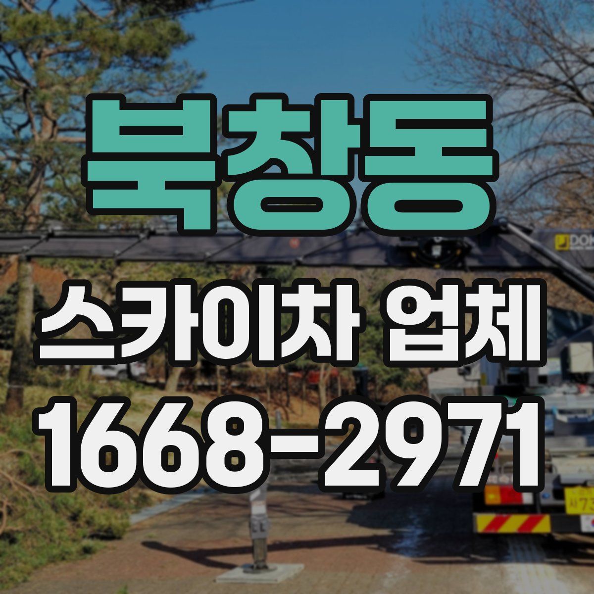 북창동 스카이차 업체
