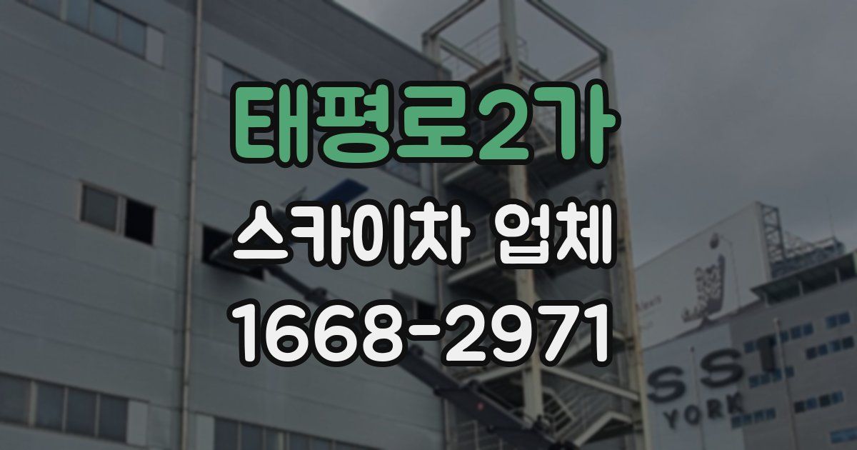 태평로2가 스카이차 업체