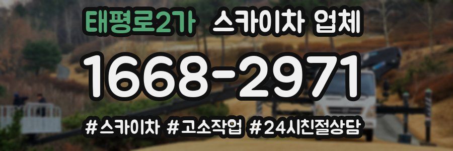 태평로2가 스카이차 업체
