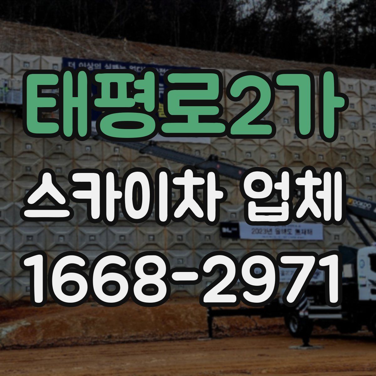 태평로2가 스카이차 업체