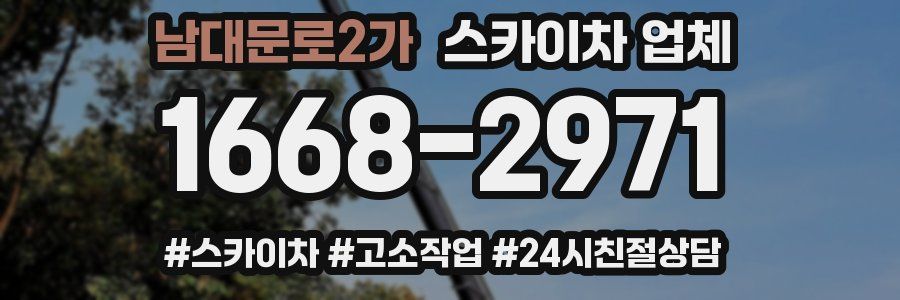 남대문로2가 스카이차 업체