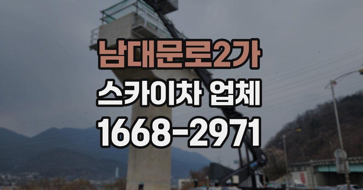 남대문로2가 스카이차 업체