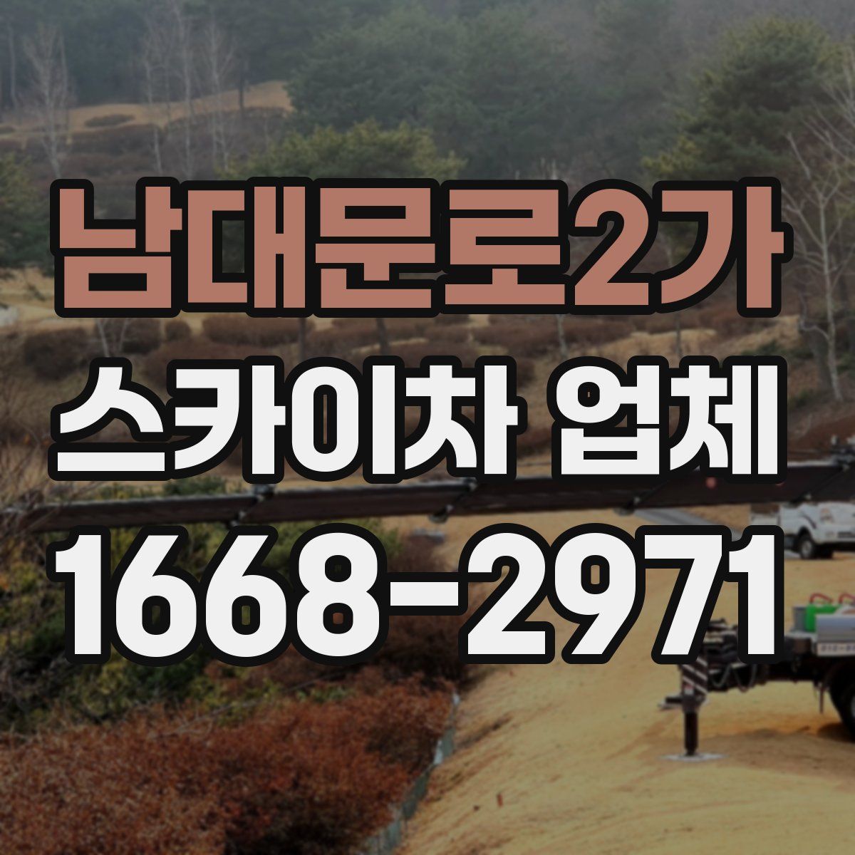 남대문로2가 스카이차 업체