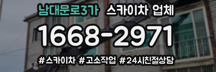 남대문로3가 스카이차 업체