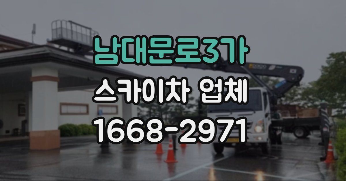 남대문로3가 스카이차 업체