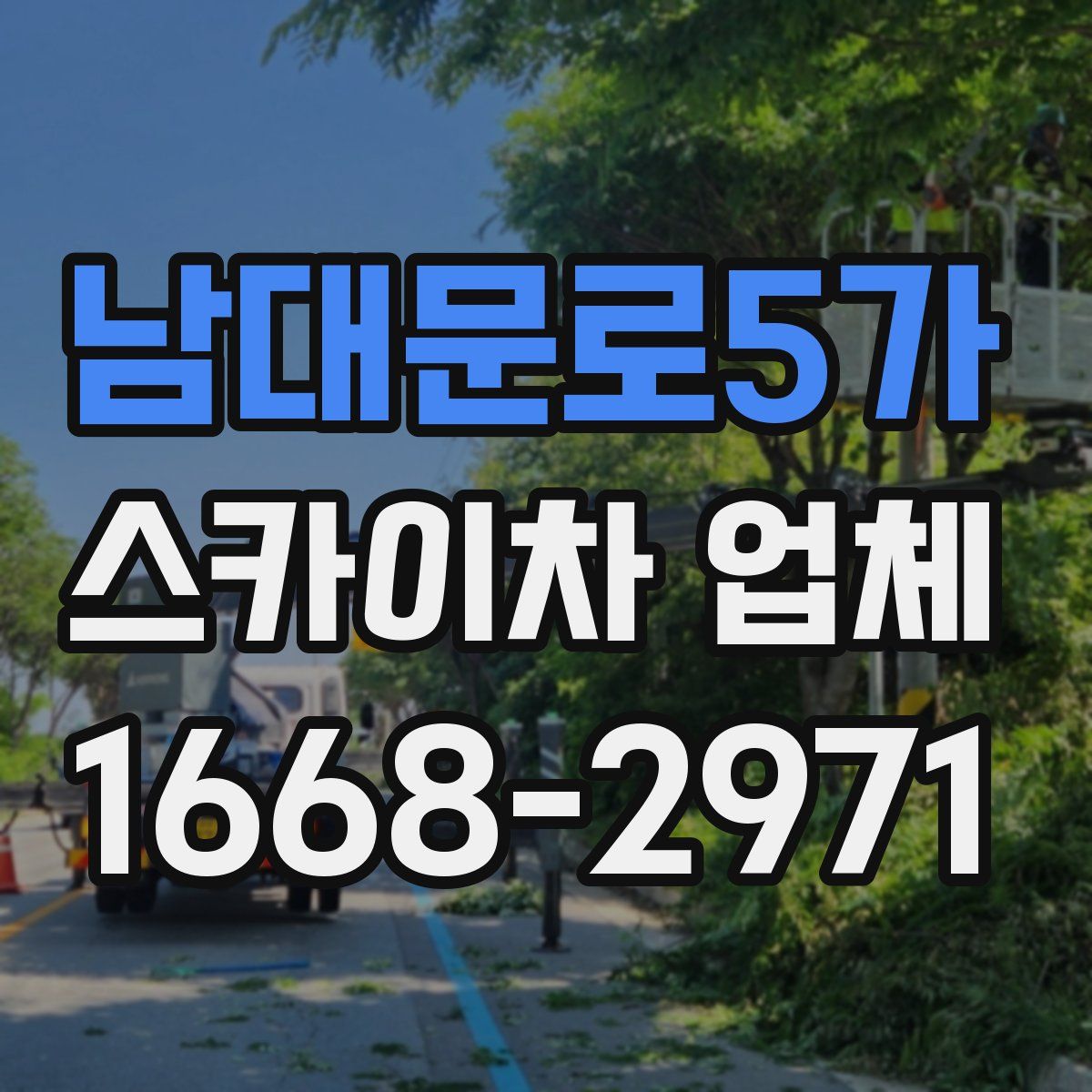 남대문로5가 스카이차 업체