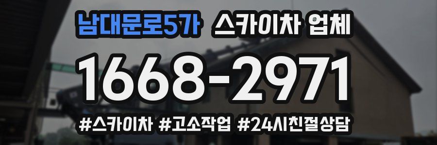 남대문로5가 스카이차 업체