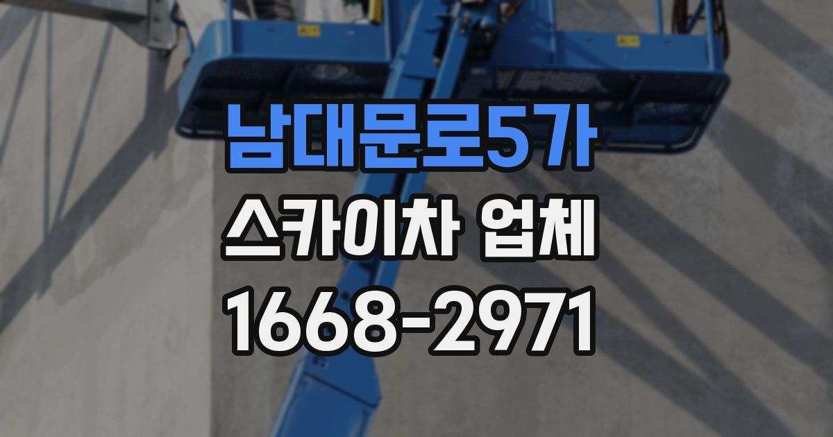 남대문로5가 스카이차 업체