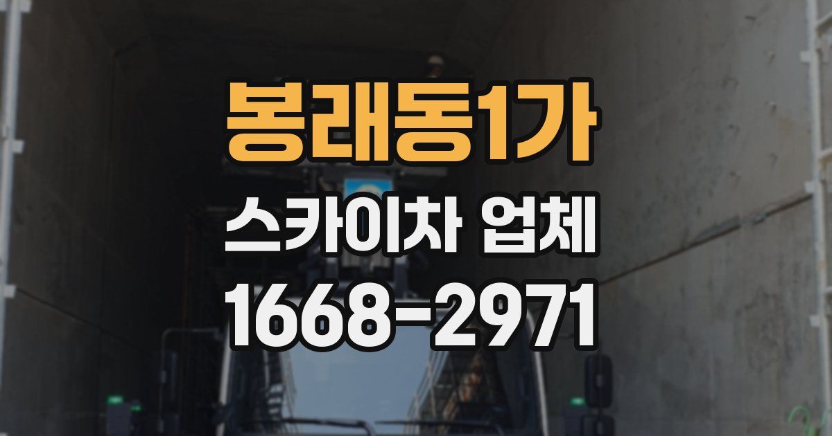 봉래동1가 스카이차 업체