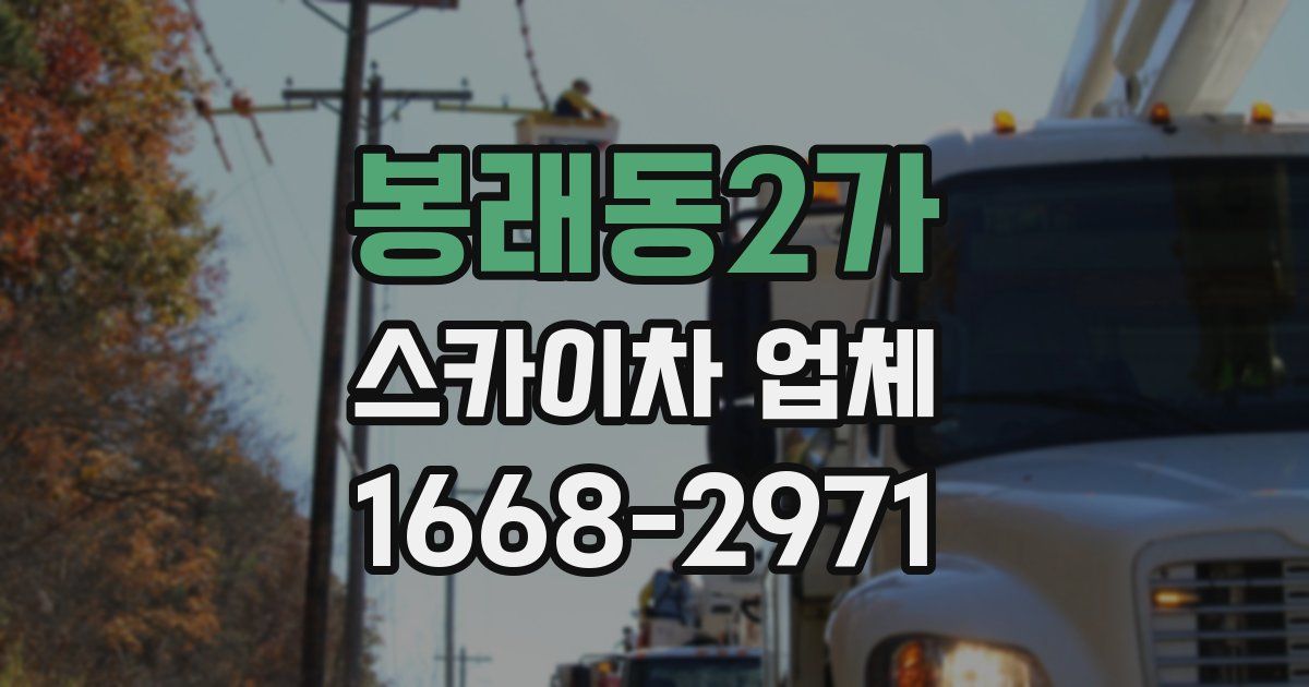 봉래동2가 스카이차 업체