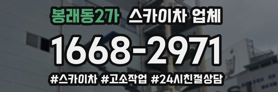 봉래동2가 스카이차 업체