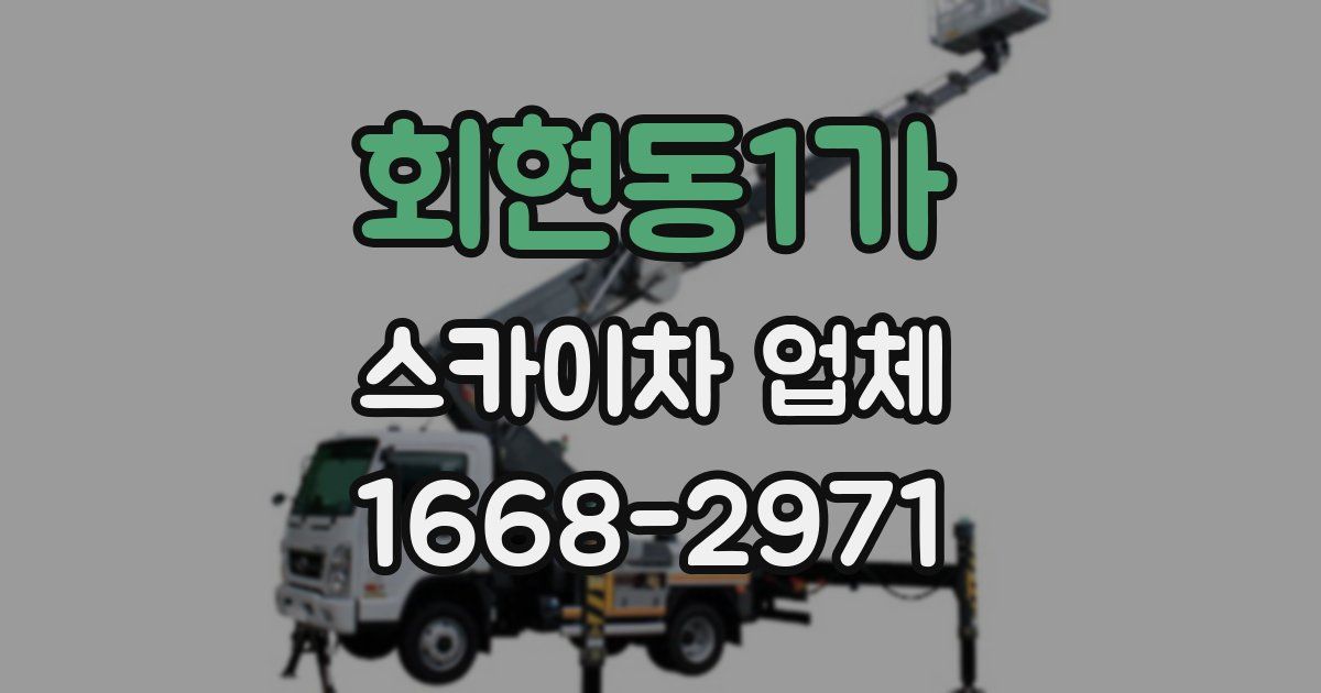 회현동1가 스카이차 업체