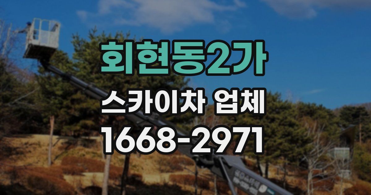회현동2가 스카이차 업체
