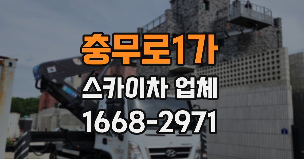 충무로1가 스카이차 업체
