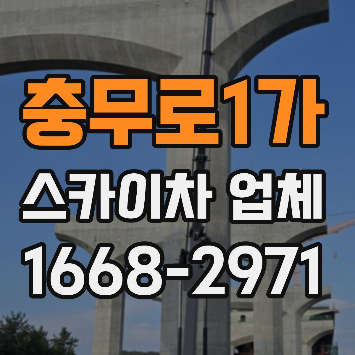 충무로1가 스카이차 업체