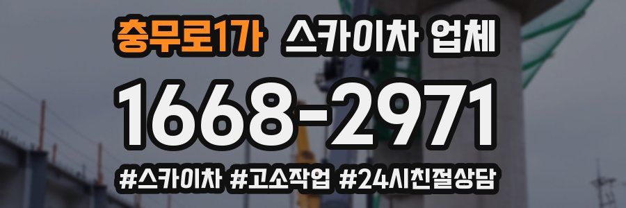 충무로1가 스카이차 업체