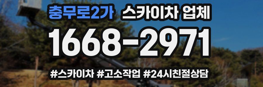 충무로2가 스카이차 업체