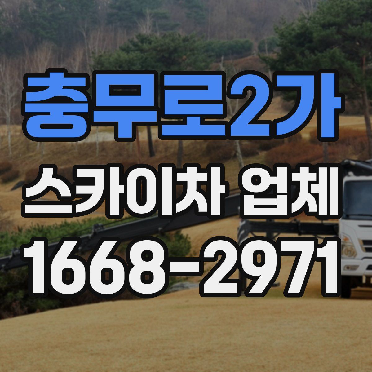 충무로2가 스카이차 업체