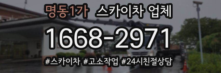 명동1가 스카이차 업체