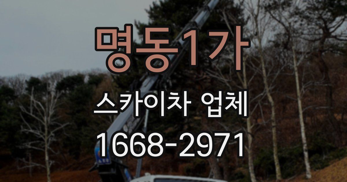 명동1가 스카이차 업체