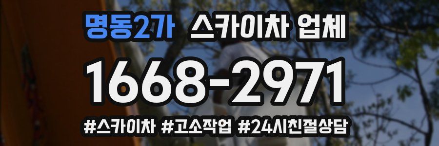 명동2가 스카이차 업체