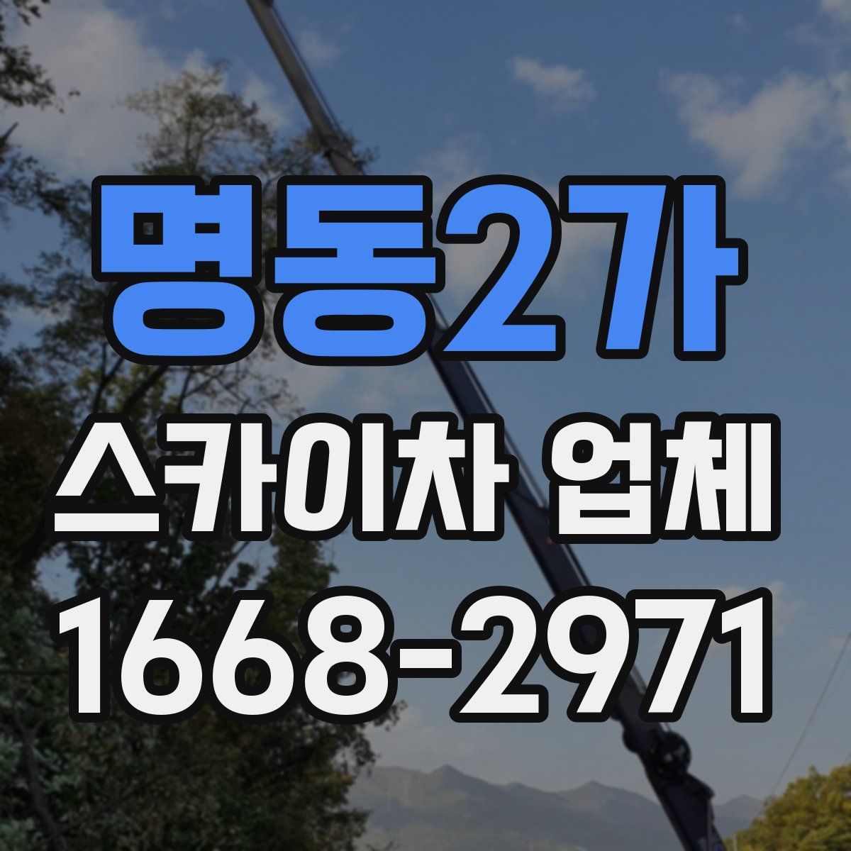 명동2가 스카이차 업체