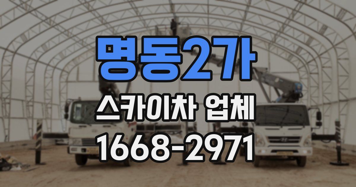 명동2가 스카이차 업체