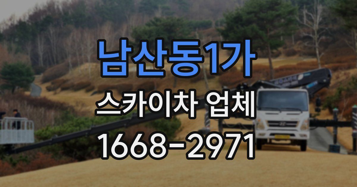 남산동1가 스카이차 업체