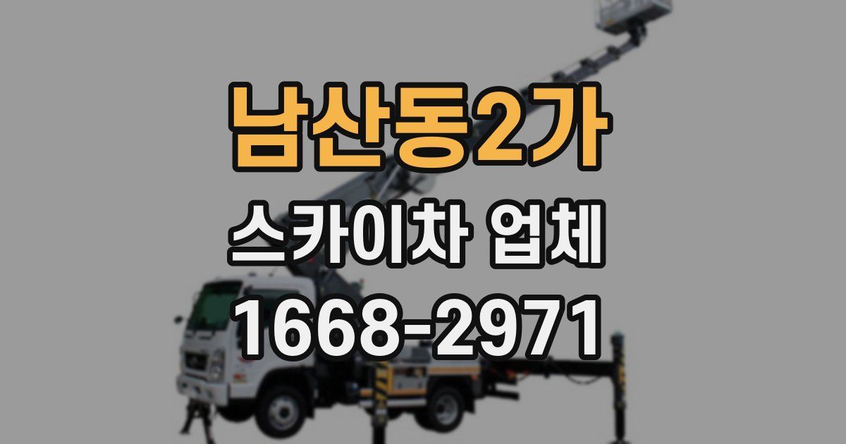 남산동2가 스카이차 업체