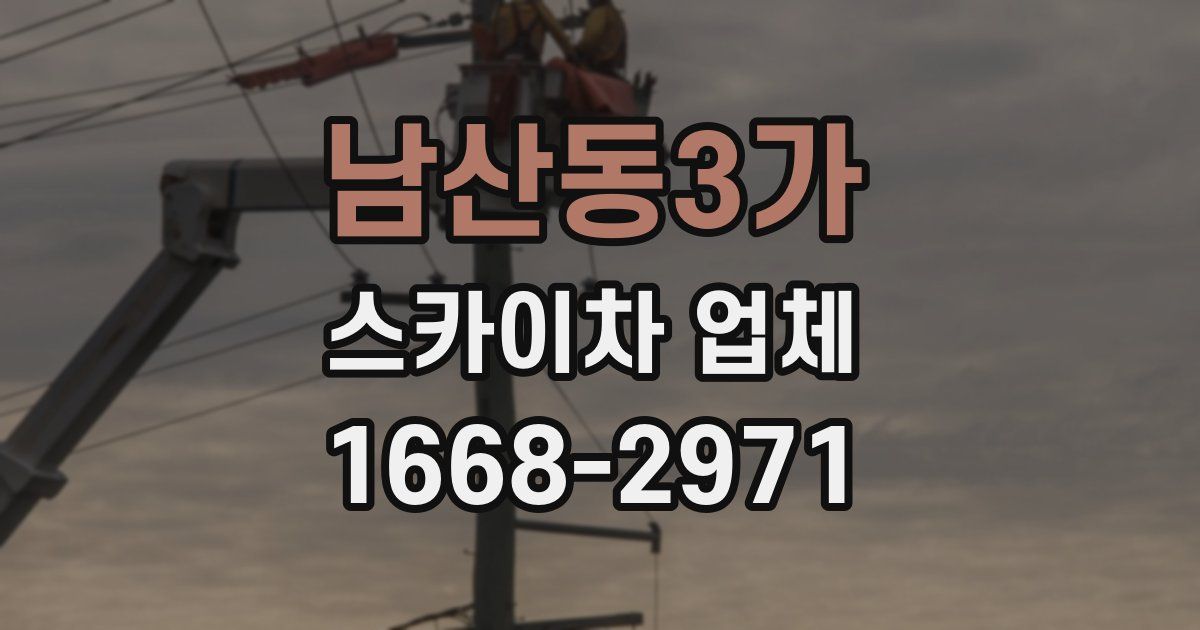 남산동3가 스카이차 업체