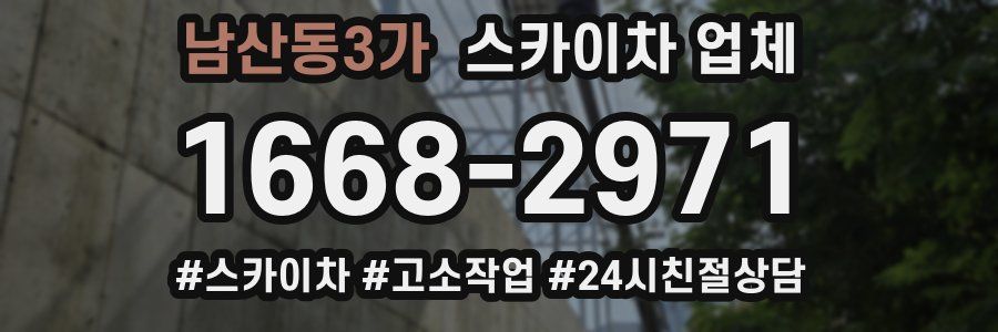남산동3가 스카이차 업체