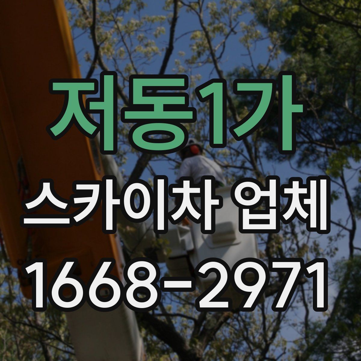 저동1가 스카이차 업체 이용 전에 알아야 할 주의사항