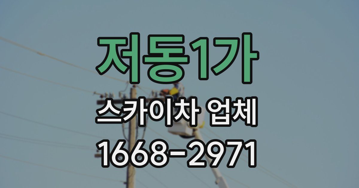 저동1가 스카이차 업체