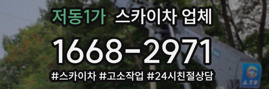 저동1가 스카이차 업체