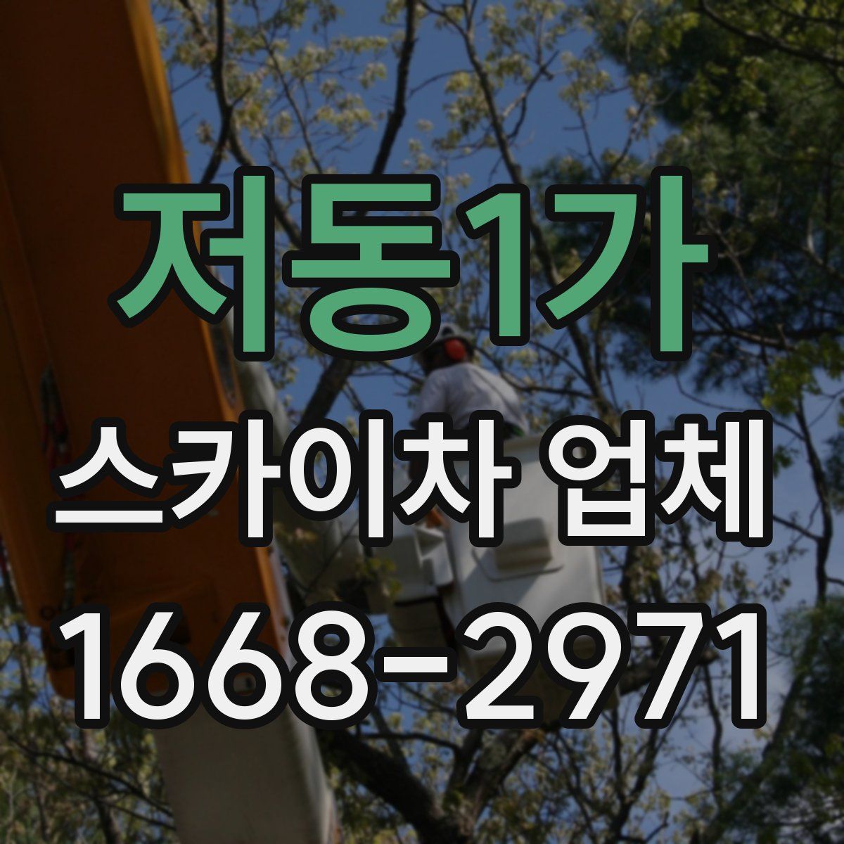 저동1가 스카이차 업체