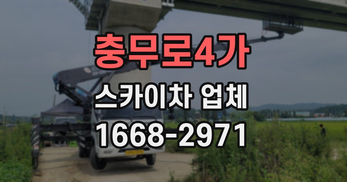 충무로4가 스카이차 업체