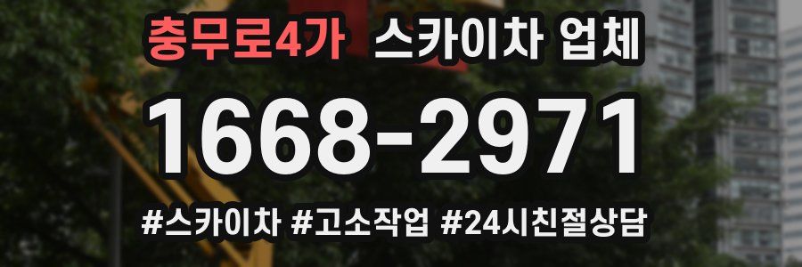 충무로4가 스카이차 업체