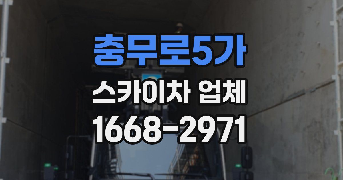 충무로5가 스카이차 업체