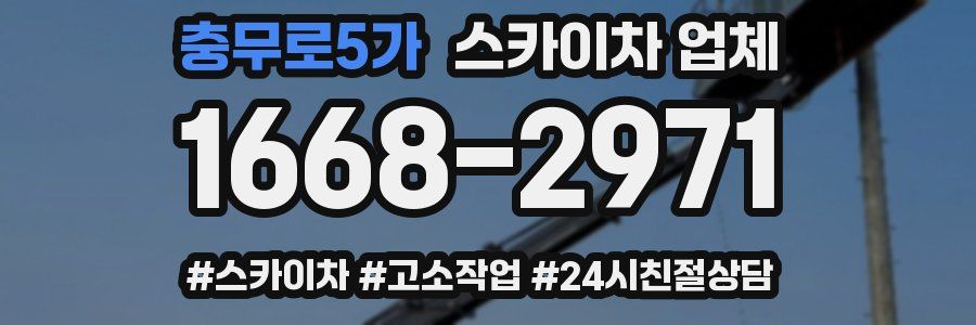 충무로5가 스카이차 업체