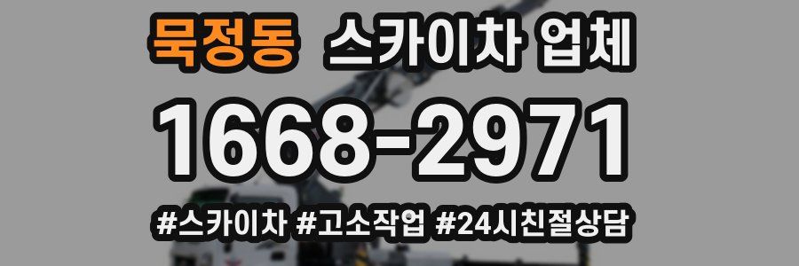 묵정동 스카이차 업체