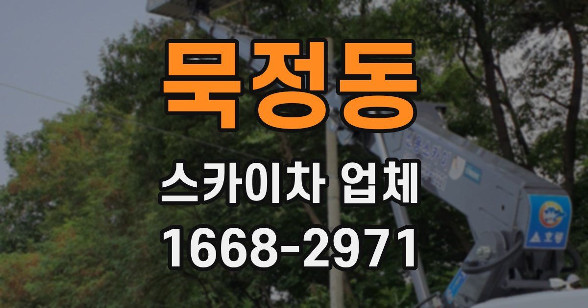 묵정동 스카이차 업체