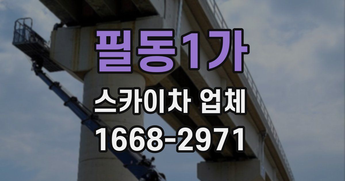 필동1가 스카이차 업체