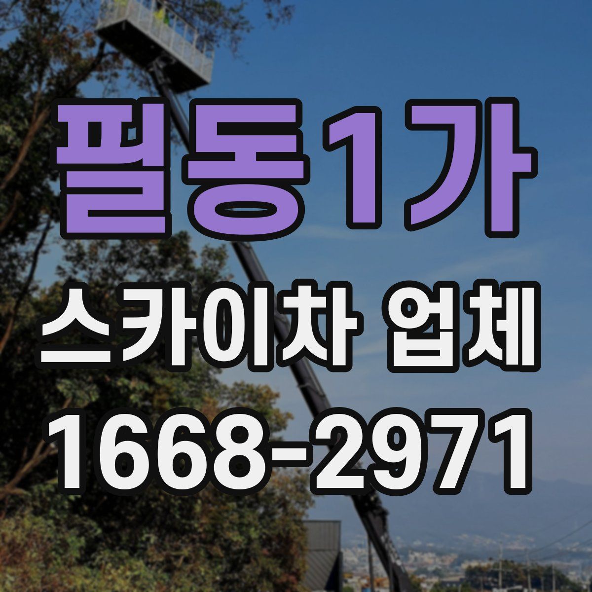 필동1가 스카이차 업체