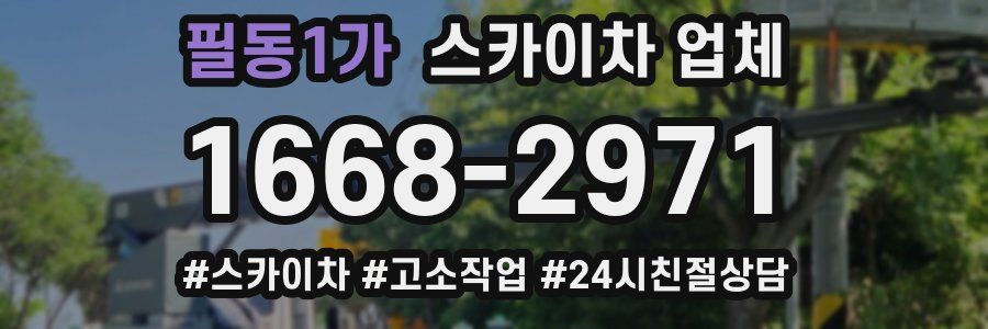 필동1가 스카이차 업체