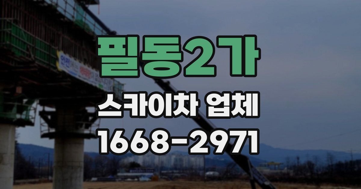 필동2가 스카이차 업체