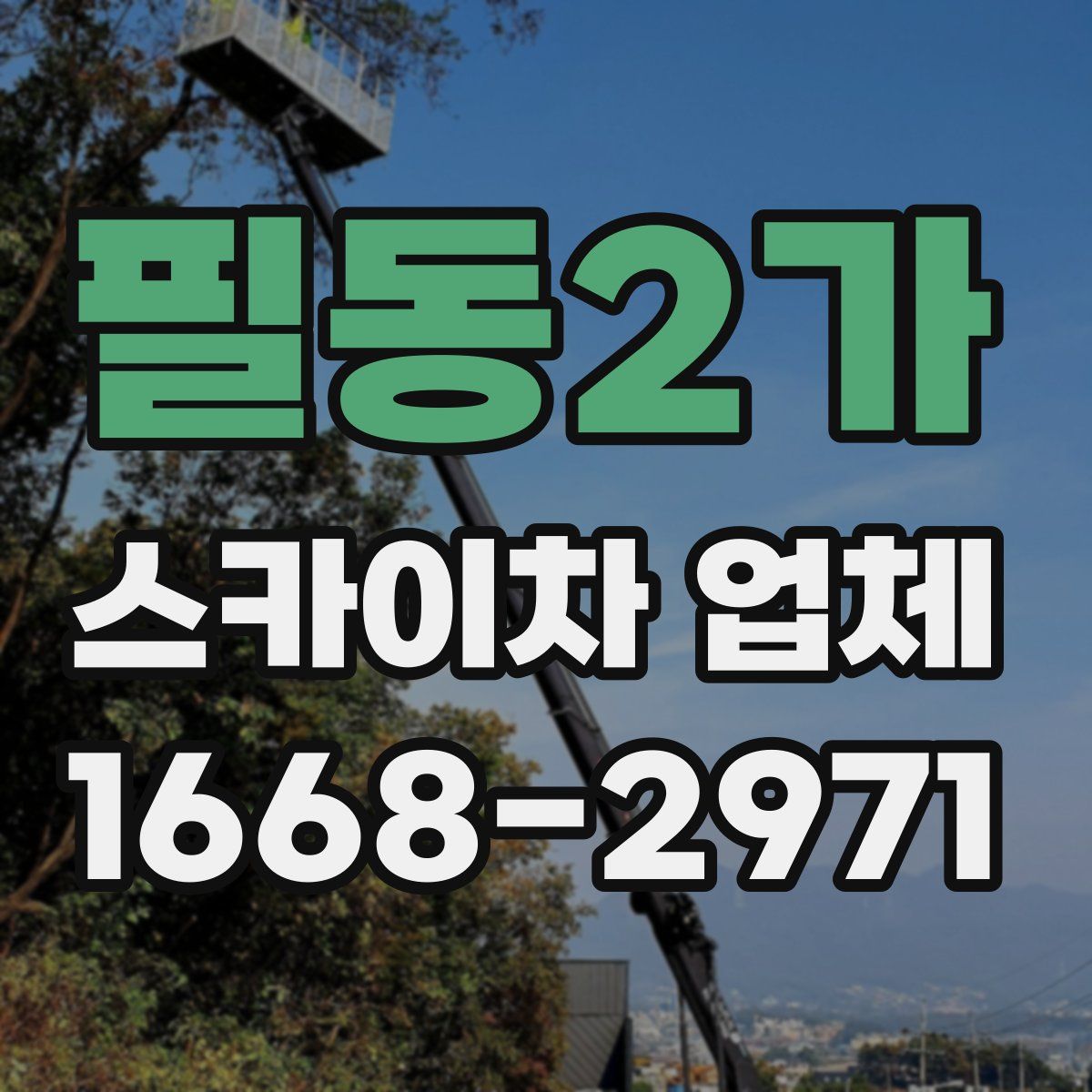 필동2가 스카이차 업체