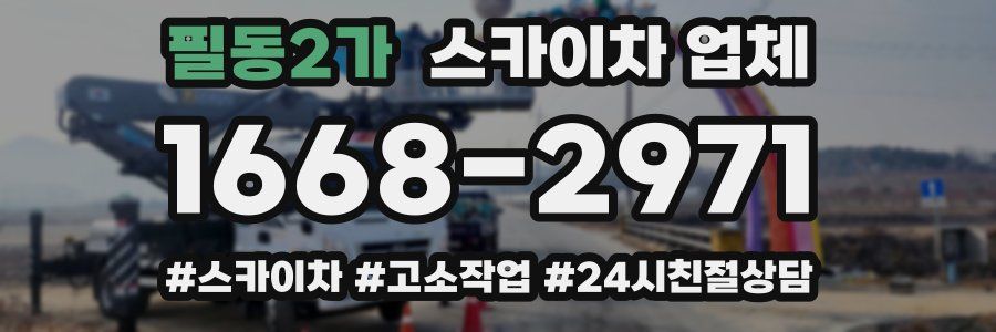 필동2가 스카이차 업체