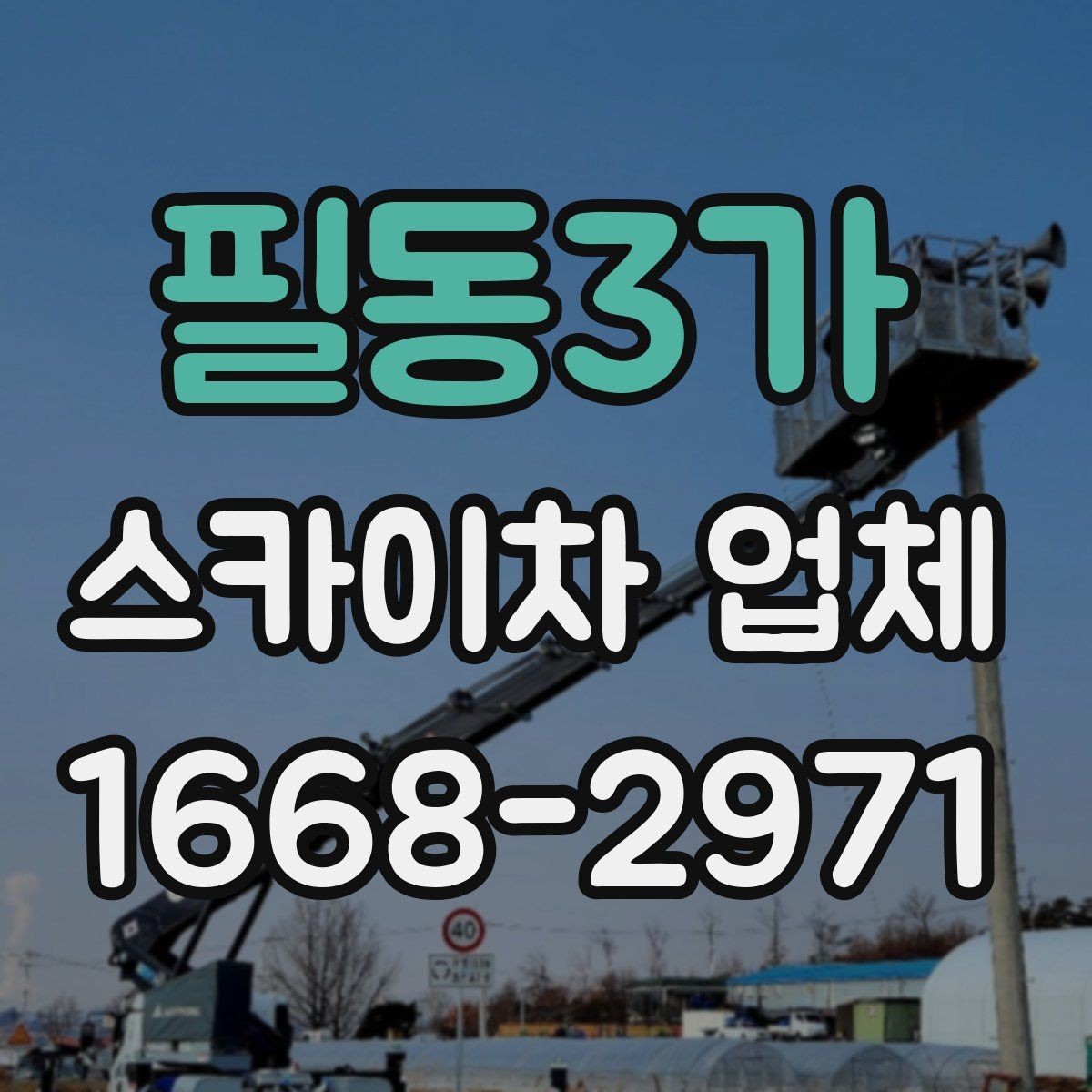 필동3가 스카이차 업체 이용 전 배차 가능 여부 확인하기